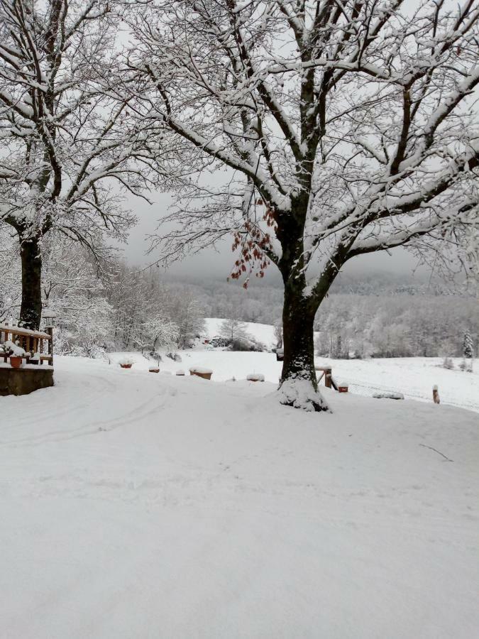Fattoria Il Pigelleto Villa Piancastagnaio Exteriör bild